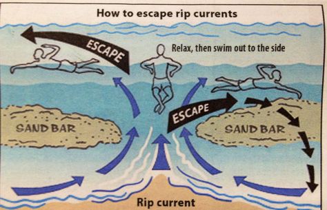 Rip Current Safety, Red Flag Meaning, Rip Tide, Beach Safety, Bad Sunburn, Sport Swimming, Rip Current, Try Try, Wild Swimming