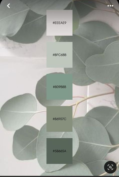 Canva Colour Palettes, Color Design Inspiration, Hex Color Palette, House Color Palettes, Color Schemes Colour Palettes, Color Vibe, Colour Ideas, Color Palate, Color Palette Design