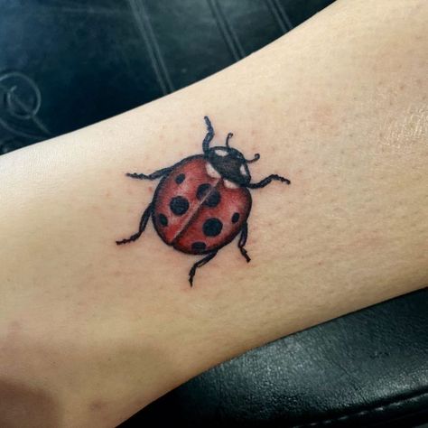 Traditional Style Ladybug Tattoo, Ladybug Tattoo American Traditional, Ladybug Tattoo Traditional, Traditional Ladybug Tattoo, Ladybird Tattoo, Traditional Tattoo Filler, Family Disappointment, Tattoo Fillers, Tattoos To Draw