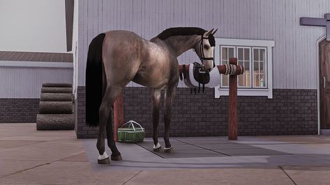 Equus-Sims CC-Database: New Manes & Tails Sims 3 Horse Mods, Sims 3 Horse Cc, Sims Horses, The Sims 3 Pets, Horse Markings, 3 Horses, Horse Mane, Horse Games, Horse Tail