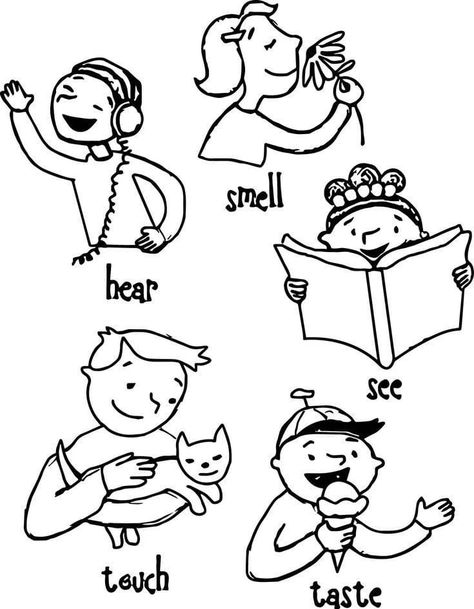 5 Senses Preschool, 5 Senses Worksheet, Five Senses Worksheet, Five Senses Preschool, 5 Senses Activities, Senses Preschool, My Five Senses, Body Parts Preschool, Family Coloring Pages