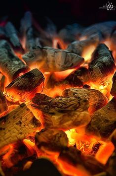 Sources of Inspiration - Burning Embers Fire Photography, Fire Element, Open Fire, Light My Fire, Winter Camping, Fire And Ice, Source Of Inspiration, Aphrodite, Image Hd