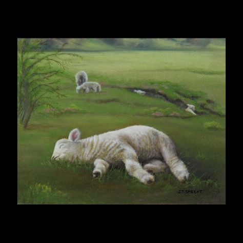 Ahhhhh Lamb Lying Down, Sheep Pictures, Green Pastures, Soul And Spirit, Painting References, Green Pasture, Lord And Savior, Love Marriage, The Hope