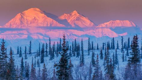 Alps Painting, Volcanic Mountains, National Parks America, Travel Quiz, Places In America, Sierra Nevada Mountains, Denali National Park, Breathtaking Places, Mountain Peak