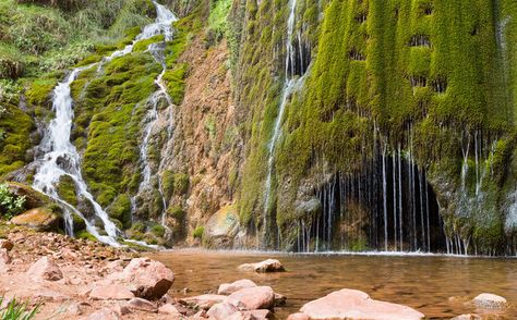 Arizona Hidden Gems, Hidden Gems In Arizona, Coconino National Forest Arizona, Verrado Arizona, Arizona Waterfalls, Arizona Attractions, California Places To Visit, Travel Arizona, Arizona Adventure