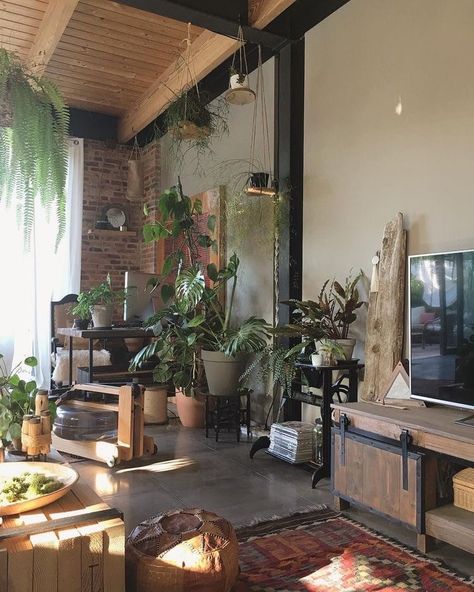 Loft Apartment With Plants, Loft Plants Decor, Plants In Loft, Industrial With Plants, Loft Apartment Plants, Loft Apartment Greenery, Modern Room With Plants, Industrial Meets Boho, Earthy Loft Apartment