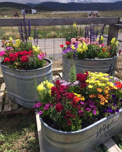 Stock Tank Flower Planter, Galvanized Flower Planters, Galvanized Stock Tank Planter Ideas, Meadow Pots, Flowers In Horse Trough, Galvanized Stock Tank Flowers, Metal Tub Garden Planters, Galvanized Floral Arrangements Tin Buckets, Bee Sanctuary