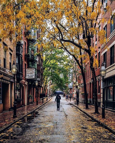 IGersBoston on Instagram: “One of Boston’s most picturesque and historic areas, Beacon Hill.  It’s charm can be enjoyed throughout the seasons. Beautiful picture…” Boston Brownstone, Boston Living, Boston Aesthetic, Beacon Hill Boston, Boston Street, Van Camp, New England Aesthetic, Visiting Boston, Boston Travel