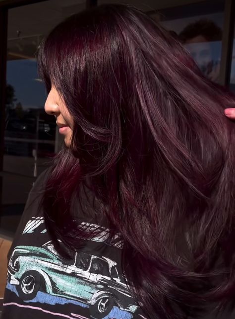 Dark Purple Maroon Hair, Deep Violet Raspberry Balayage, Dark Plum Purple Hair, Dark Purple Red Hair, Grape Purple Hair, Eggplant Hair Color, Dark Red Purple Hair, Aubergine Hair Color, Eggplant Colored Hair