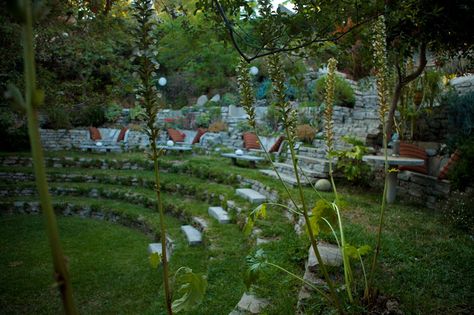 Backyard Amphitheater, Succulent Backyard, Studio Greenhouse, Amphitheater Architecture, Outdoor Amphitheater, Bowl Garden, Inexpensive Backyard Ideas, Outdoor Theatre, Music Garden