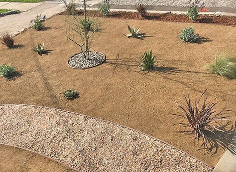 Dg Landscaping, Granite Walkway, Gravel Walkway, Porch Landscaping, Gravel Landscaping, Mulch Landscaping, Decomposed Granite, Side Yard Landscaping, Privacy Plants