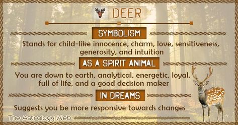 What does a deer symbolize, deer as spirit animal, albino deer meaning, dreams about deer interpretation, deer in different cultures (Christian, Islam) Deer In Dreams Meaning, Deer Meaning Spirit Animal, Deer Symbolism Meaning, Stag Spirit Animal Meaning, Deer Spirit Animal Meaning, Stag Meaning, Deer Meaning, Stag Spirit Animal, Deer Symbolism