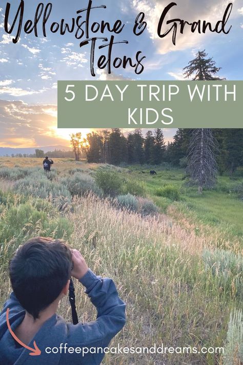 five day trip Yellowstone and grand Tetons recommendations Coffee Pancakes, Busy Town, Yellowstone National Park Vacation, Yellowstone Trip, Jackson Wy, West Yellowstone, Yellowstone Park, National Park Vacation, National Park Road Trip