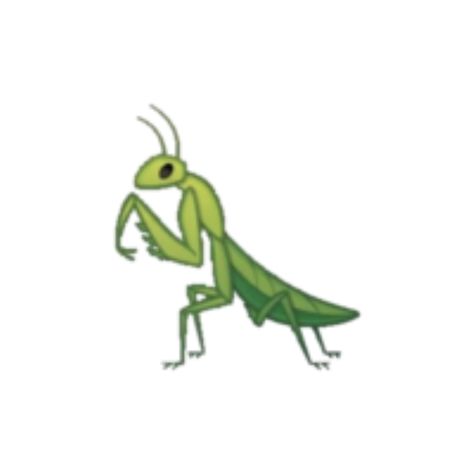 Praying mantis [as an emoji] (Drawing by Disney) #DisneyEmojiBlitz Prey Mantis Drawing, Praying Mantis Cartoon, Praymantis Drawing, Praying Mantis Character Design, Praying Mantis Oc, Praying Mantis Tattoo Simple, Bug Drawing Simple, Mantis Oc, Cute Praying Mantis