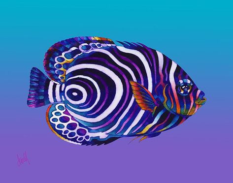 Emperor Angelfish, Fish Colorful, Aquatic Art, Colourful Fish, Saltwater Aquarium Fish, Fauna Marina, Fish Artwork, Deep Sea Creatures, Cool Fish