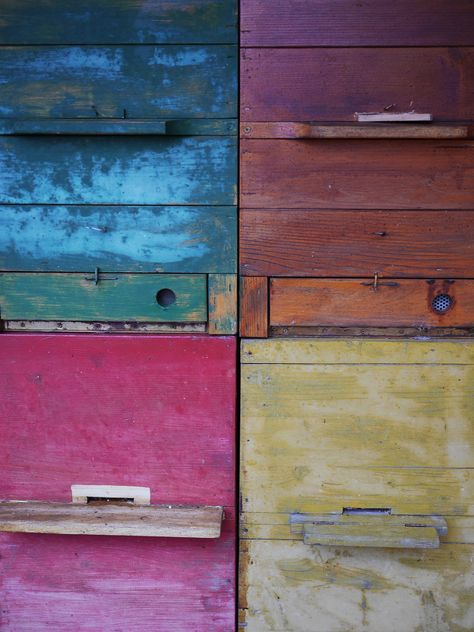 photo Painted Bee Hives, Bee Hives Boxes, Langstroth Hive, Keeping Bees, Buzzy Bee, I Love Bees, Bee Skep, Bee Boxes, Bee Hives