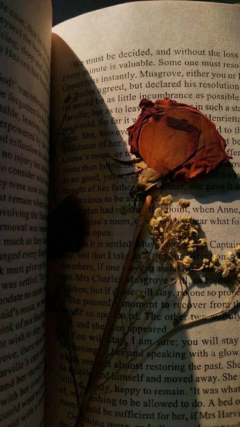 Books Aesthetic Jane Austen, Book And Rose Aesthetic, Jane Austen Lockscreen, Flower And Book Aesthetic, Flowers In Books Aesthetic, Book Aesthetic Vintage Dark, Wilted Rose Aesthetic, Dry Rose In Book, Roses Vintage Aesthetic