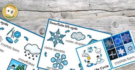 Printables - Montessori Nature Printables Life Cycle Of A Snowflake, Types Of Snowflakes, Snowflake Bentley, Nature Printables, Sensory Details, Snowflakes Art, Poetry Anthology, Snowflake Cards, Snowflake Shape