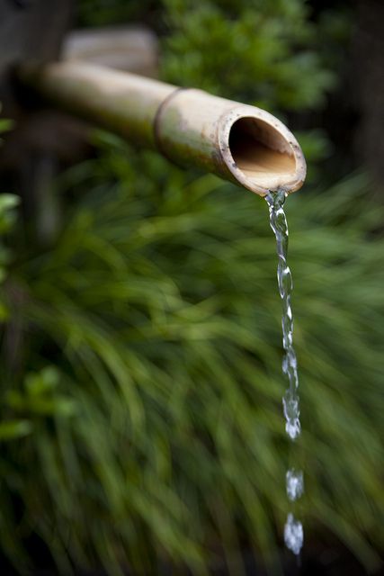 Poetry Background, Mood Photos, Water Dripping, Tea Drops, Garden Water Feature, Drip Drop, Modern Asian, Wellness Retreat, Water Drip