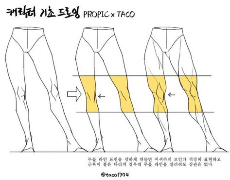 If you make the knee line expression strong, it becomes awkward (in the case of a leg with muscles, you can give a strong line) Taco Drawing, Leg Anatomy, Human Body Drawing, Drawing Legs, Anatomy Tutorial, Drawing Body Poses, Human Anatomy Drawing, Human Anatomy Art, Human Drawing