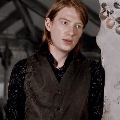 Domhnall Gleeson Harry Potter, Hp Icons, Bill Weasley, Merritt Patterson, Mafia Game, Weasley Aesthetic, Weasley Harry Potter, Arthur Weasley, Toby Stephens