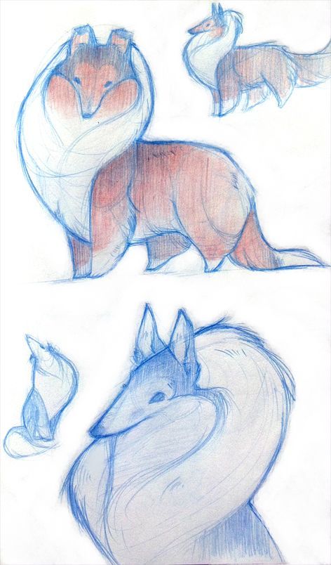 Different Animals, Canine Art, Dessin Adorable, Animal Sketches, Dog Drawing, 영감을 주는 캐릭터, Cute Animal Drawings, Design Reference, Creature Art