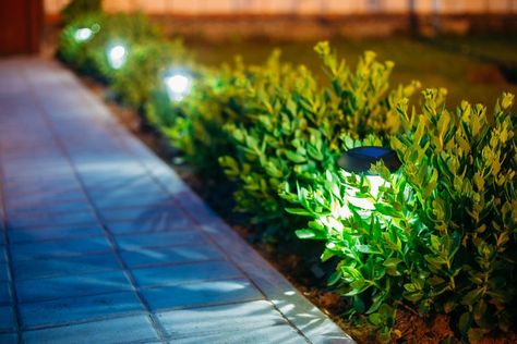 The 9 Best Outdoor Solar Lights of 2019 Front Yard Lighting, Best Solar Lights, Path Lighting, Solar Landscape Lighting, Landscape Lighting Design, Solar Landscape, Walkway Lights, Yard Lights, Backyard Lighting