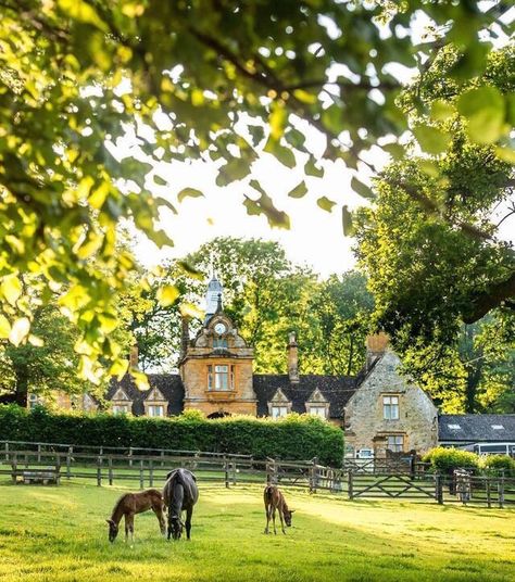 English Cottage Dreams! : Photo English Farm, Farm Estate, Dream Stables, English Horse, Dream Barn, Countryside House, Horse Ranch, The Fox And The Hound, Equestrian Life