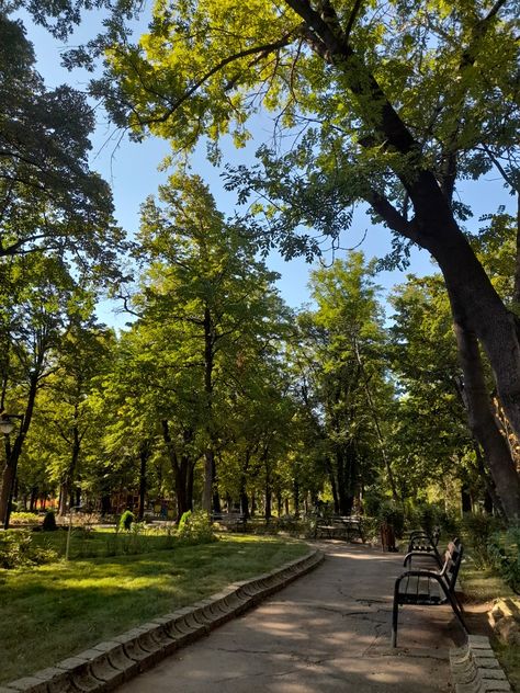 #park #trees #aesthetic Sunset Park Aesthetic, Park Aesthetic Sunset, Park Astethic, Aesthetic Park, Trees Aesthetic, Park Aesthetic, Summer Vision, Bakery Design Interior, 2024 Aesthetic