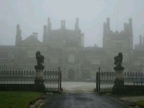 Boarding School Aesthetic, Mansion Homes, Wammy's House, Foggy Day, The Infernal Devices, Dark Academia Aesthetic, The Secret History, Academia Aesthetic, Boarding School