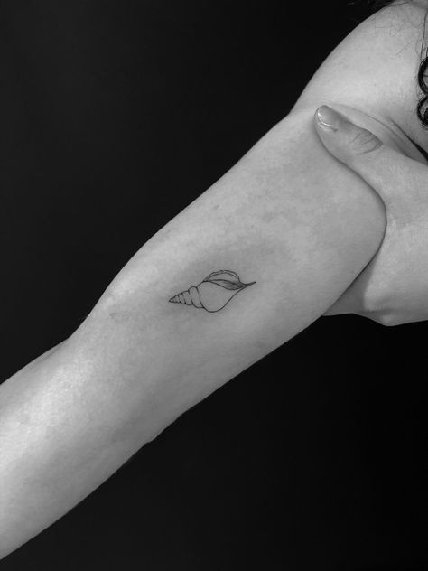 Shell Tattoo Minimalist, Fine Line Shell Tattoo, Tattoo Seashell, Shell Tattoo, Bali Tattoo, Shell Tattoos, Fine Line Tattoo, Line Tattoo, Matching Tattoo