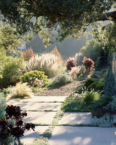 Our Home: Front Yard Redesign - Hither & Thither #landscape Patio Slabs, Dry Garden, Gravel Garden, Coastal Gardens, Have Inspiration, Mediterranean Garden, Native Garden, Glass Garden, Ideas Garden