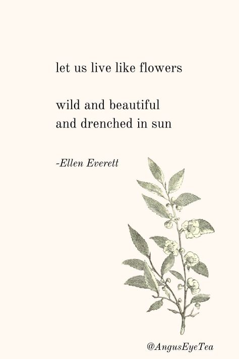 Poetry About Flowers, Quotes About Plants, About Flowers, Wildflower Quotes, Quotes About Flowers, Flowers Notes, Flower Quotes Inspirational, Flower Poetry, Plant Quotes