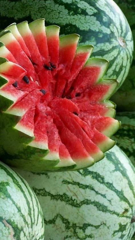 Watermelon Pics, Watermelon Pictures, Salad Watermelon, Fruits And Vegetables List, Watermelon Dessert, Watermelon Cooler, How To Grow Watermelon, Patio Gardening, Funny Vegetables