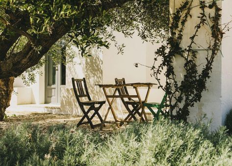 Masseria Moroseta, Ostuni, Italy | SUITCASE Magazine Olive Green Exterior, Masseria Moroseta, Country Modern Home, Green Exterior, Mediterranean Living, Mediterranean Villa, Minimal Architecture, Casual Dining Rooms, Countryside House