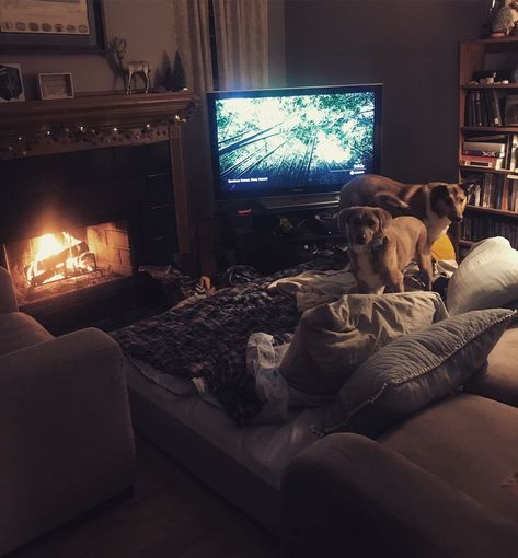 Got snowed in with my wife and dogs - so we created couch-bed http://bit.ly/2R0TasK Gloomy Aesthetic Bedroom, Maggie Aesthetic, Tuscan Bedroom, Cuddle Couch, Bedroom Aesthetic Cozy, Tumblr Bedroom, Tuscan Style Homes, Snowed In, Cozy Dog Bed