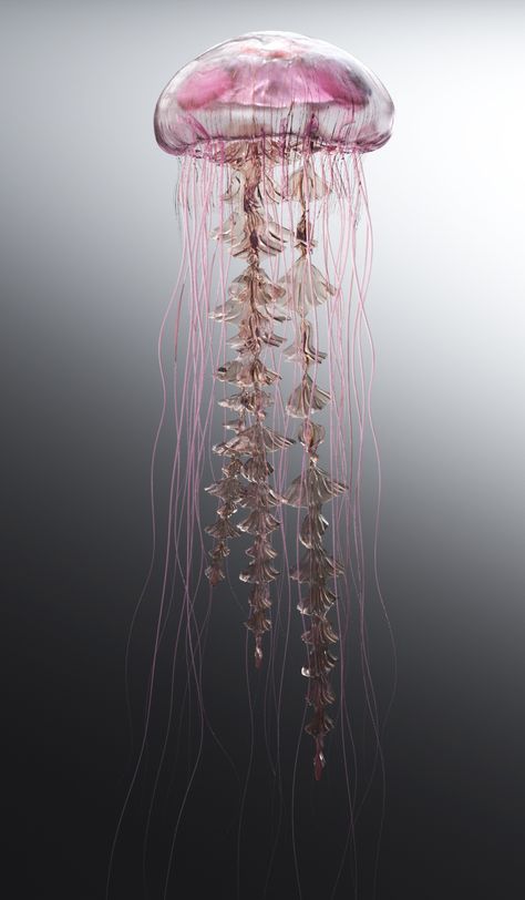 Jellyfish Facts, Jellyfish Lantern, Jellyfish Jewelry, Jellyfish Illustration, Jellyfish Photography, Jellyfish Decorations, Creature 3d, Jellyfish Aquarium, Jellyfish Painting