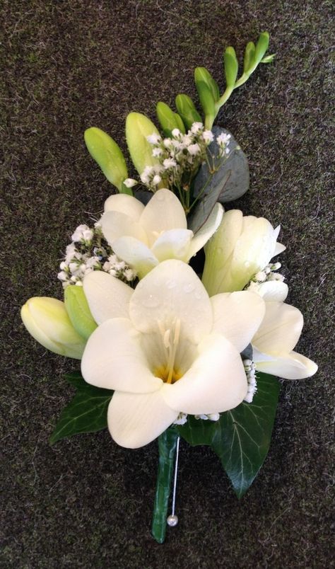 Matt's and Mother of's buttonholes White Freesia and Gypsophila Mothers Corsage Wedding Flowers. LOVE! Gypsophila Corsage, Mother Corsage Wedding, Freesia Buttonhole, Freesia Corsage, Freesia Boutonniere, Modern Corsage, Boutineer Ideas, Purple Eucalyptus, Groom Corsage