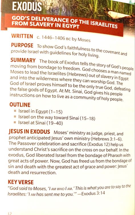 Exodus Summary, Bible Understanding, Peter Bible, The Book Of Exodus, Bible Summary, Old Testament Bible, Book Of Exodus, Bible Books, Verse Mapping