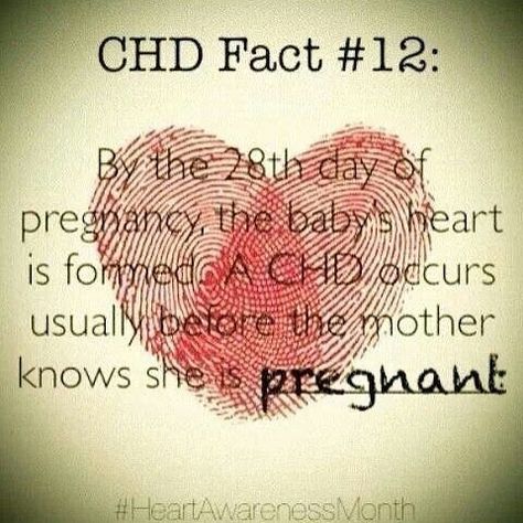 Chd Facts, Chd Awareness Month, Chd Mom, Heart Awareness Month, Chd Babies, Bicuspid Aortic Valve, Chd Warrior, Chd Heart, Mended Heart