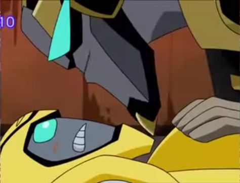 Bumblebee X Prowl, Prowl X Bumblebee, Transformers Starscream, Transformers Animated, Dragon Cookies, Transformers Memes, Transformers Funny, Transformers Bumblebee, Transformers 3