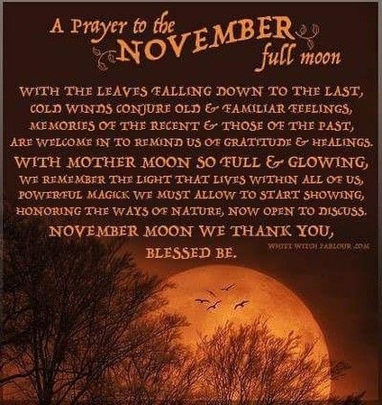 Prayer for the November full moon November Full Moon, Frost Moon, Usui Reiki, Full Moon Ritual, Magick Spells, Moon Witch, Wicca Witchcraft, Money Manifestation, White Witch