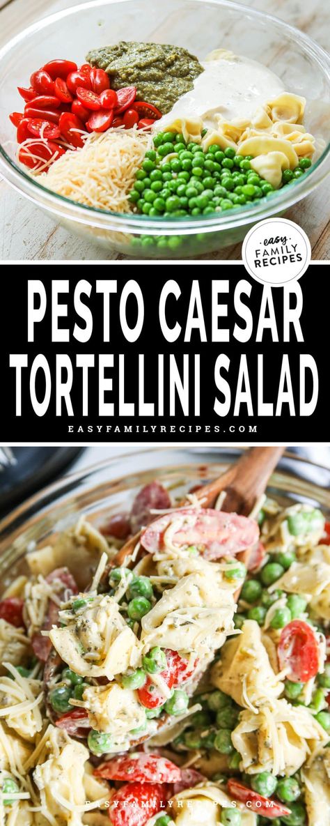 FAVORITE salad recipe EVER! This Pesto Tortellini Pasta Salad is SO GOOD and only takes 6 ingredients and just minutes to make. This easy salad recipe is perfect for lunch, and makes a great side dish to serve with dinner. Pesto and caesar mix to make the absolute best dressing that makes this the best pasta salad recipe. Lemon Pesto Tortellini, Creamy Pesto Tortellini, Pesto Tortellini Salad, Tortellini Pasta Salad Recipes, Tortellini Pasta Salad, Creamy Pesto Sauce, Pesto Salad, Pesto Tortellini, Pasta Salad With Tortellini