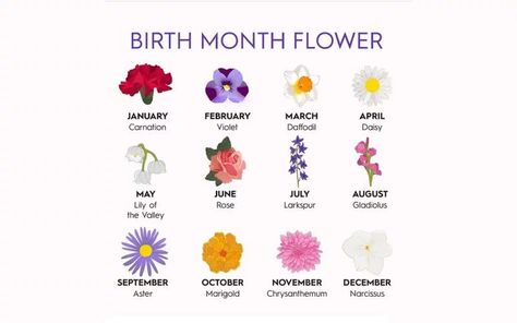 Find Out Your Birth Flowers By Korean Flower Chart! June Flower, July Birth Flower, Better Homes And Gardens Magazine, June Birth Flower, September Flowers, Flower Chart, April Birth Flower, Daisy May, April Flowers