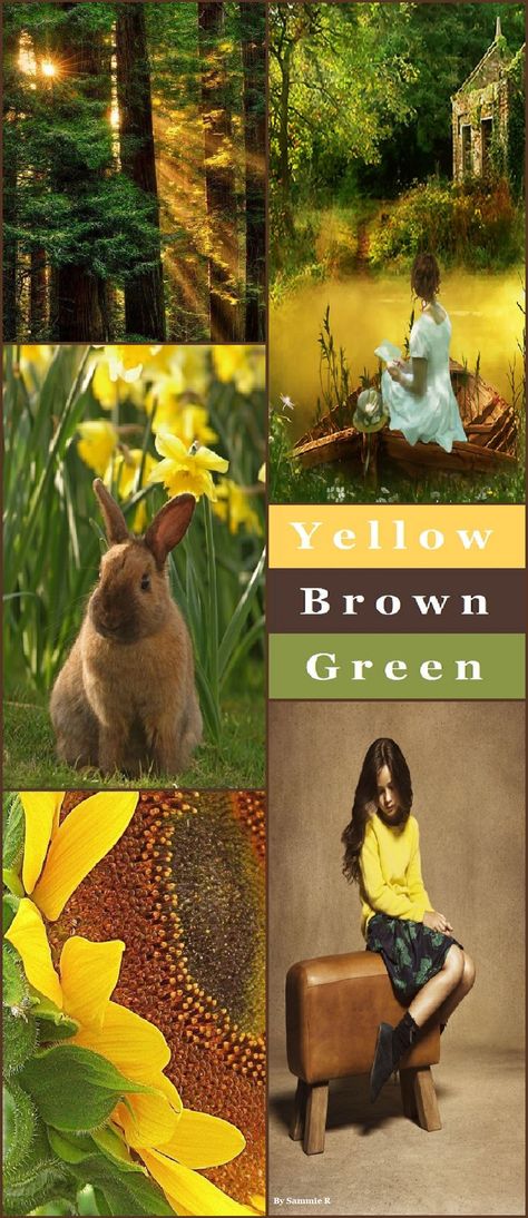 Brown And Green, Pretty Green, Mood Board Fashion, Cute Images, Yellow And Brown, Green Yellow, Color Combos, Mood Boards, Brown And Grey