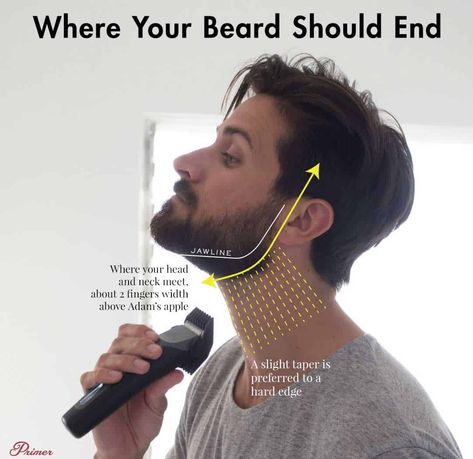 Beard Growth Tips, Shaved Head With Beard, Ducktail Beard, Beard Drawing, Beard And Mustache Styles, Goatee Beard, Stubble Beard, Mens Beard Grooming, Beard Tips