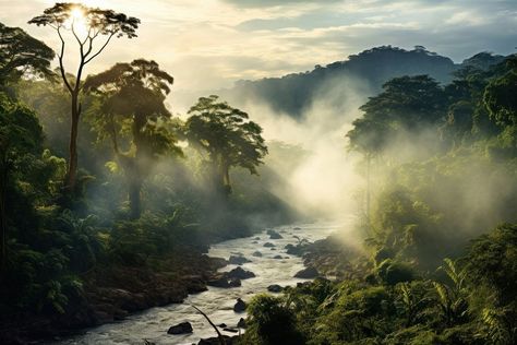 Rainforest landscape tree rainforest outdoors. AI generated Image by rawpixel. | free image by rawpixel.com Rainforest City, Rainforest Landscape, Amazon Forest, Rain Forest, Amazon Rainforest, Jungle Theme, Green Forest, Landscape Trees, Green Energy