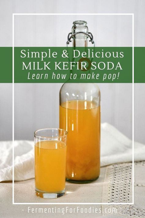 Mango soda brewed with milk kefir whey. Kefir Bread, Kefir Soda, Whey Recipes, Fermented Dairy, Ginger Bug, Kombucha Recipe, Kefir Recipes, Fermented Milk, Probiotic Drinks