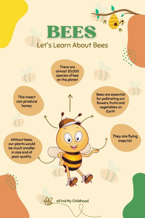 Let's Learn About Bees How Bees Make Honey, Facts About Honey, Facts About Bees, Fun Facts About Bees, Honey Facts, Honey Bee Facts, Honey Jar Labels, Bee Life Cycle, Apple Home