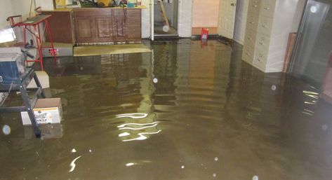 Flood/Water Damage Restoration: Why you need Professional Expertise - http://bit.ly/2n9Z5gQ Pinterest Home Decor Ideas, Flooded House, Wood Furniture Plans, Simple Home Decoration, Water Rings, Flood Damage, Cup Of Water, Easy Wood, Wooden Floors